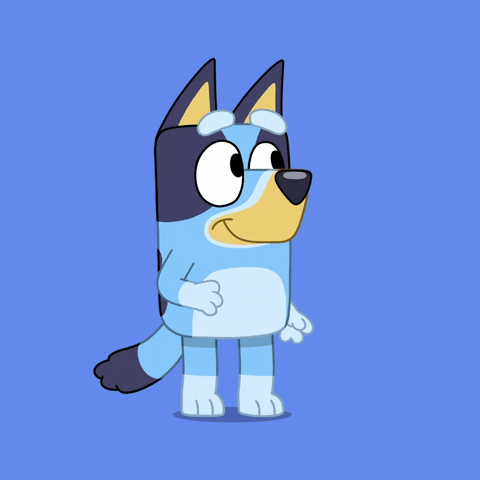 Bluey Looking Right